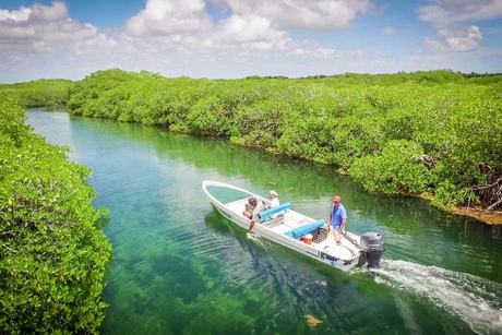 Una lancha de poco calado navegando un canal de manglar en las planicies